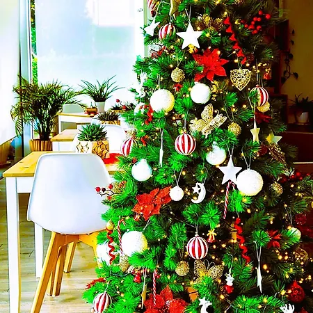 Stella Del Garda Bed & Breakfast Lazise