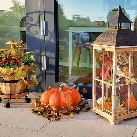 Stella Del Garda Nocleg ze śniadaniem