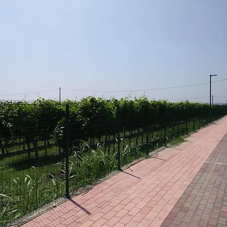 Stella Del Garda Bed & Breakfast 4*
