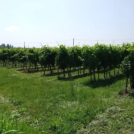 Stella Del Garda لاتيزي