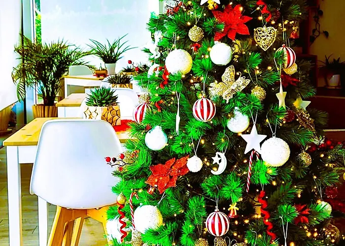 Stella Del Garda Bed and breakfast Lazise