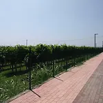 Stella Del Garda Panzió 4*