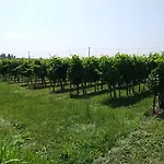 Stella Del Garda Lazise