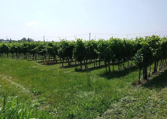 Stella Del Garda Lazise