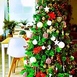 Stella Del Garda Bed & Breakfast Lazise