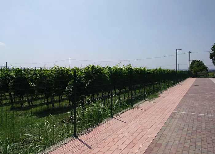 Stella Del Garda Couette-café 4*